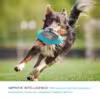 Flying Saucer Dog Game Flying Discs Toys Cat Chew Leaking Slow Food Feeder Ball Puppy IQ Training Toy Anti Choke Puzzle Dogs - Image 2